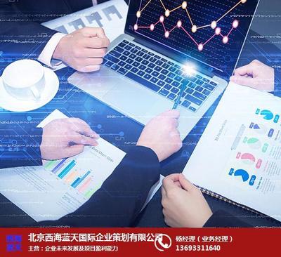 项目投资价值及未来收益分析