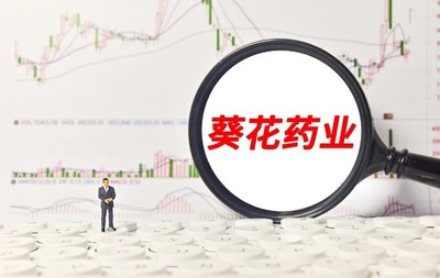 A股:&ldquo;中药&rdquo;概念低估值龙头公司一览(附名单)
