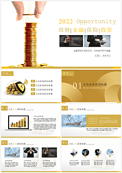 高端时尚简约风产品介绍品牌策划PPT模板