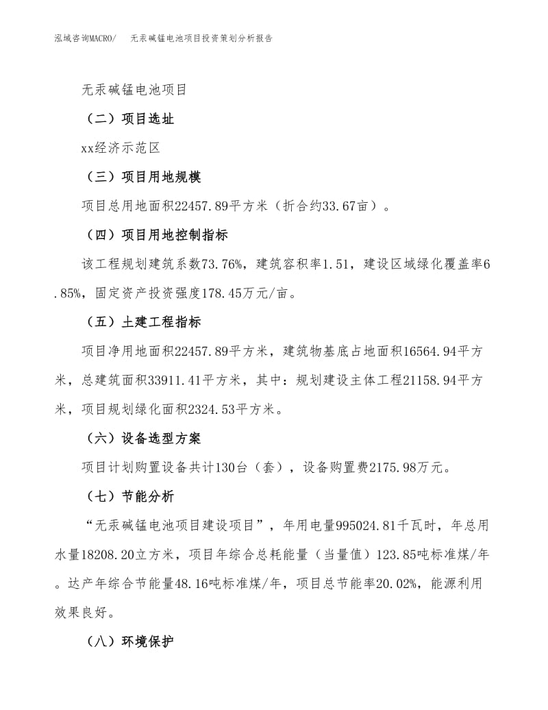 无汞碱锰电池项目投资策划分析报告范文模板.docx
