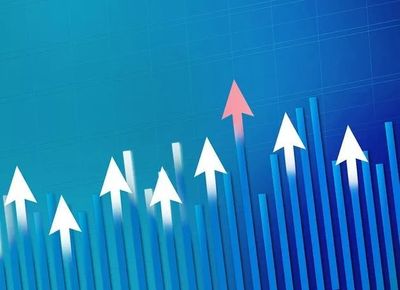 获阿里巴巴投资,策划蛇吞象式并购--揭秘居然之家的资本急行