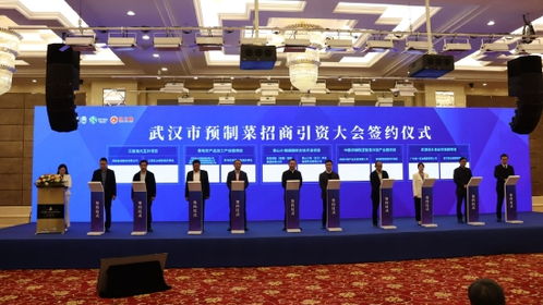 风脉能源30亿元投资江夏山坡街道 打造万亩低碳高效水产养殖综合开发项目