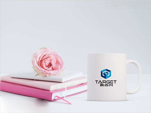 北京泰吉兴投资公司标志设计案例图片与理念说明 北京西风东韵设计公司