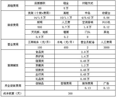 婴童店开店投资计划书（三） 投资策划与实施方案