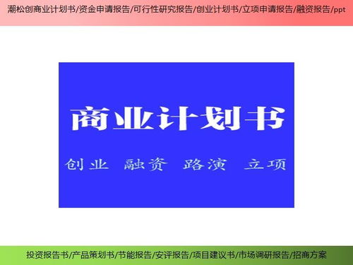 潍坊市项目可行性研究报告与投资策划 优选服务商指南