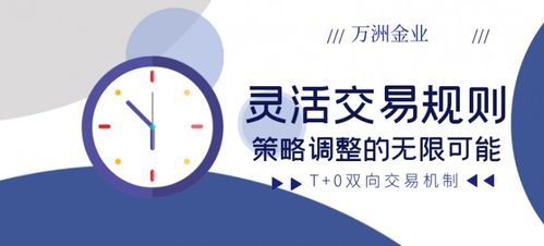 投资策划 科学布局未来财富之路